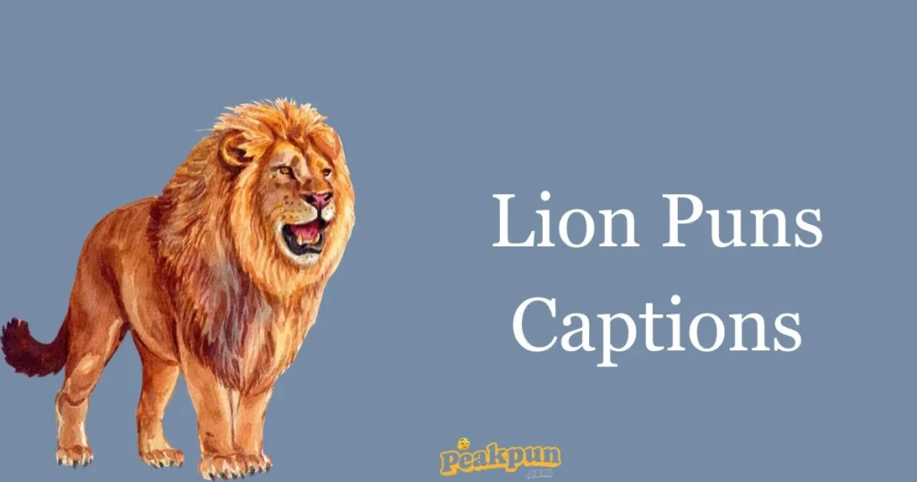 Lion Puns Captions
