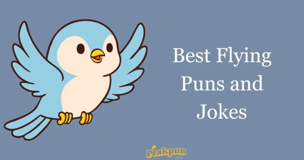 Best Flying Puns And Jokes