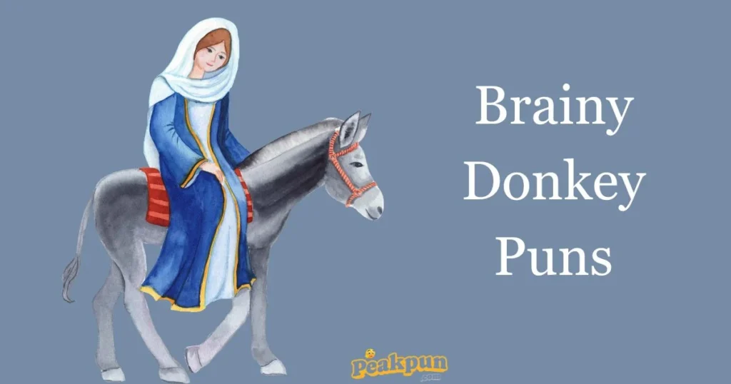 Brainy Donkey Puns
