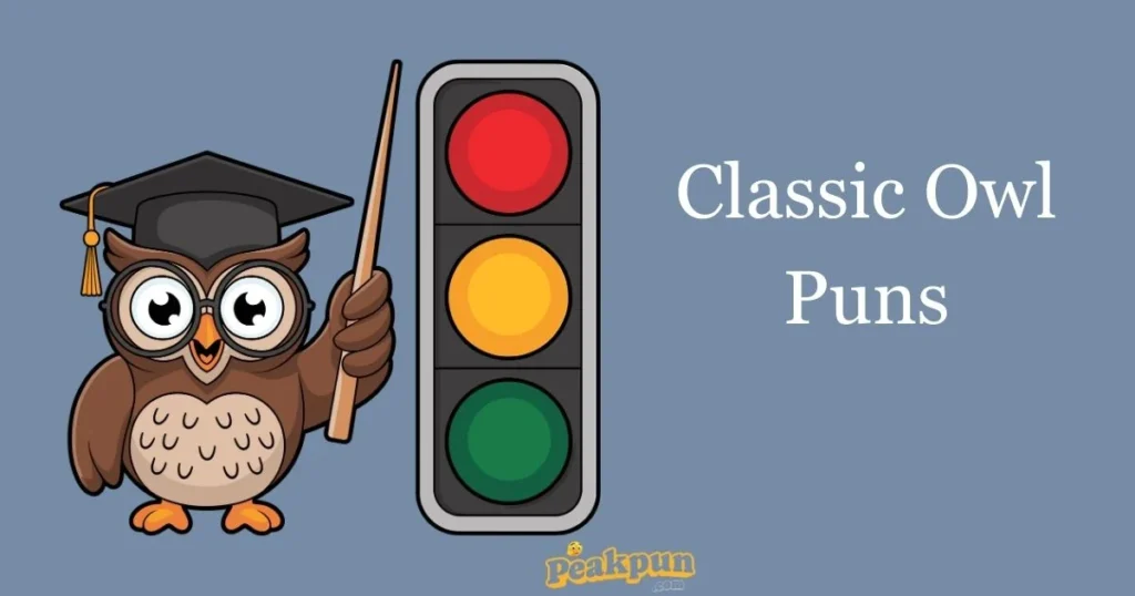 Classic Owl Puns