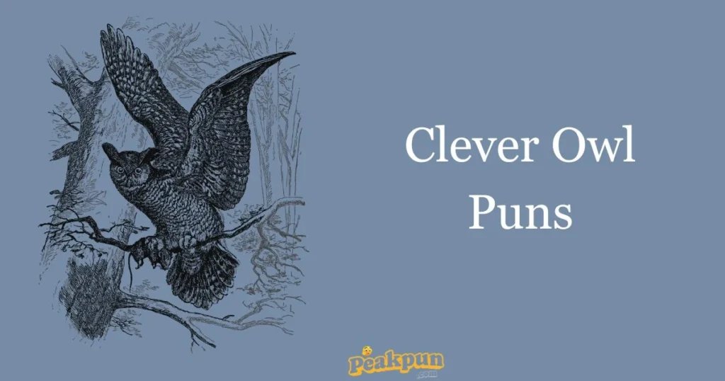 Clever Owl Puns
