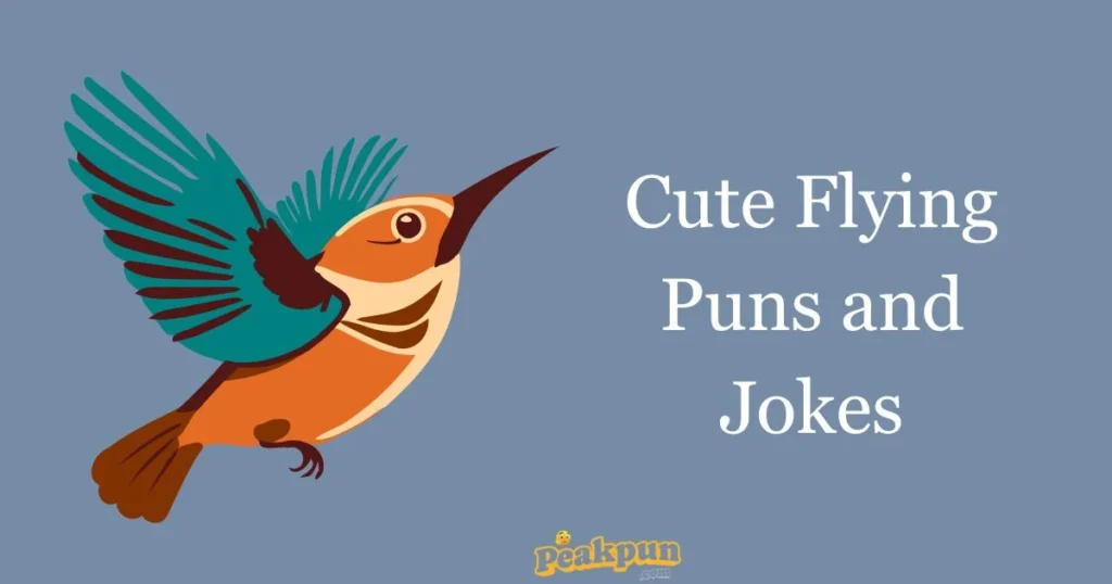 Cute Flying Puns And Jokes