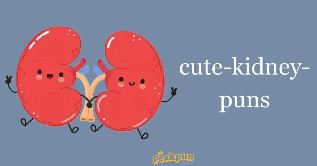 Cute Kidney Puns
