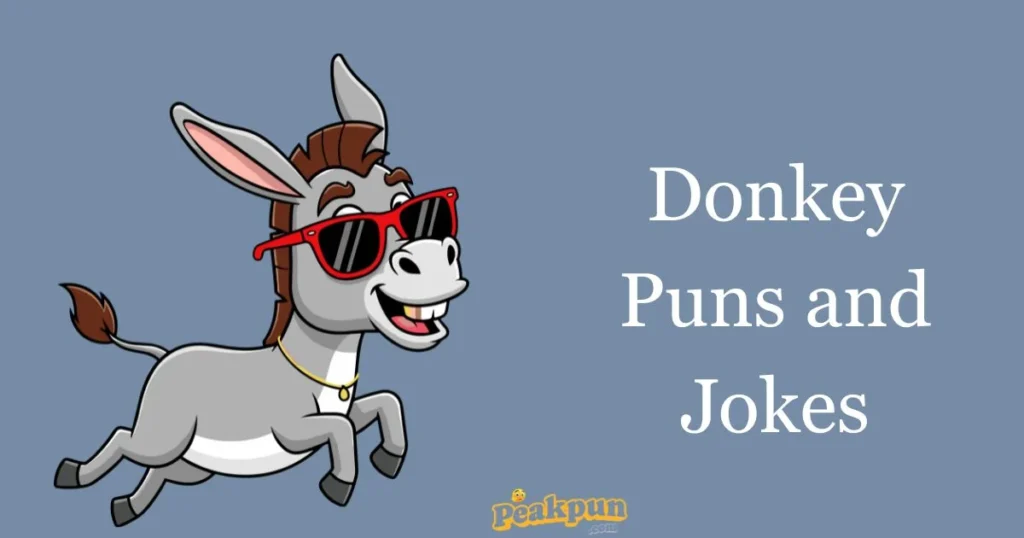Donkey Puns And Jokes
