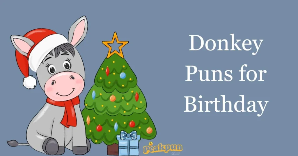 Donkey Puns For Birthday