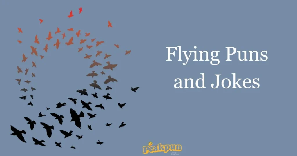 Flying Puns And Jokes