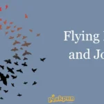 Flying Puns And Jokes