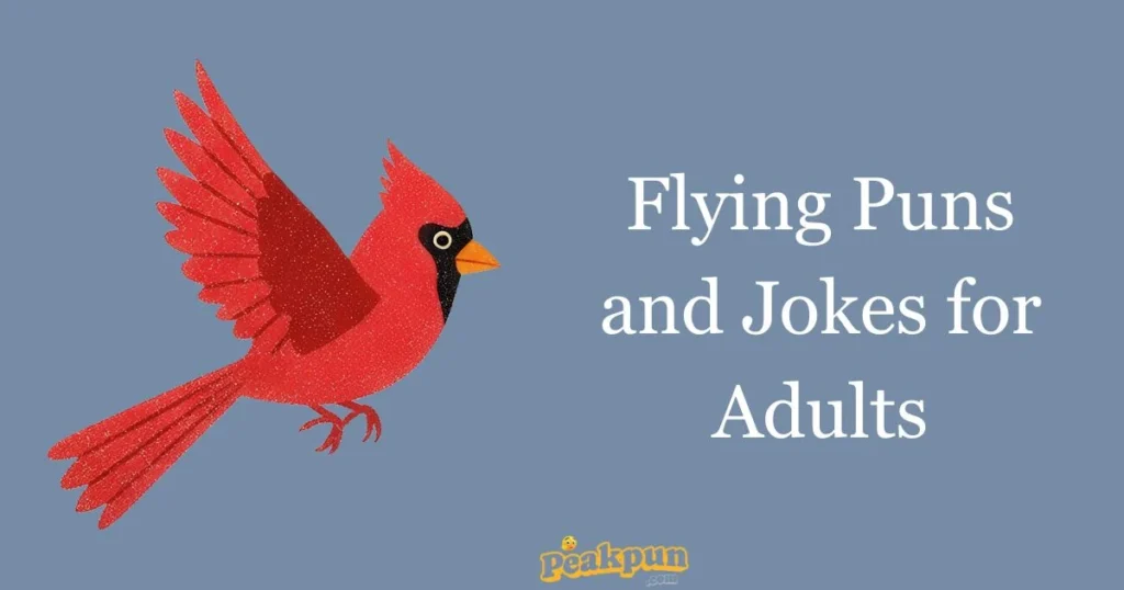 Flying Puns And Jokes For Adults