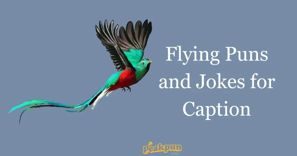 Flying Puns And Jokes For Caption