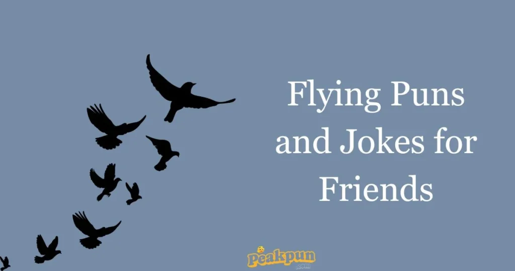 Flying Puns And Jokes For Friends
