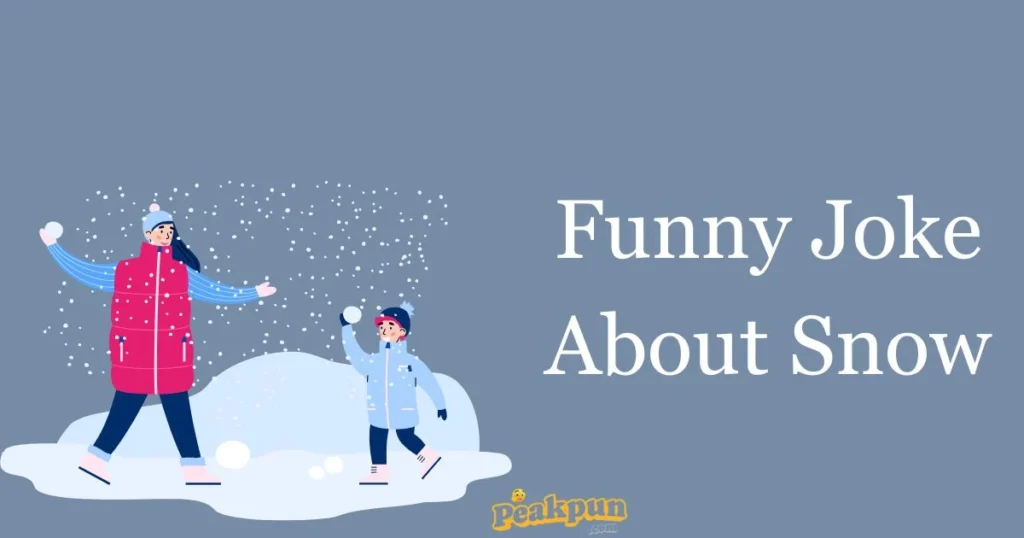 Funny Joke About Snow