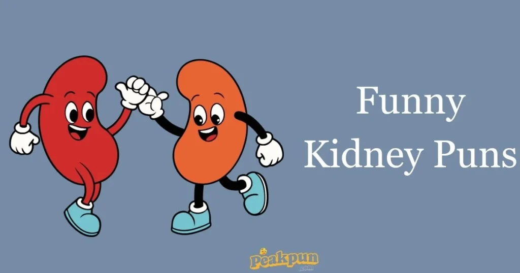 Funny Kidney Puns
