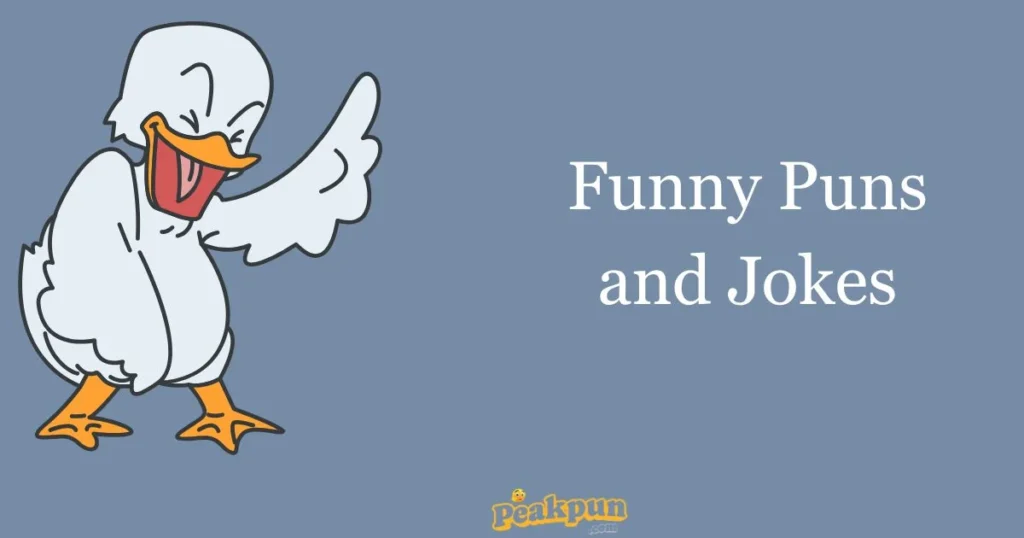 Funny Puns And Jokes