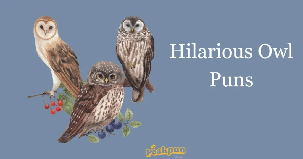 Hilarious Owl Puns