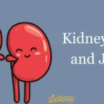 Kidney Puns And Jokes