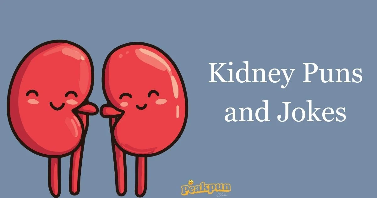Kidney Puns And Jokes