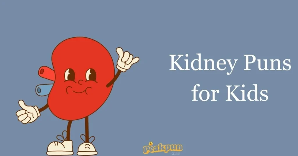 Kidney Puns For Kids