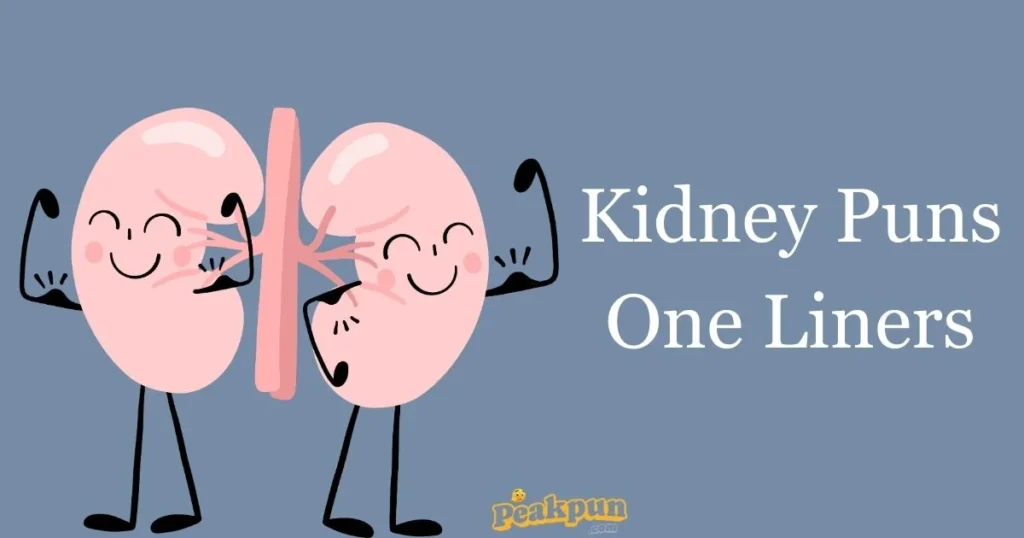 Kidney Puns One Liners