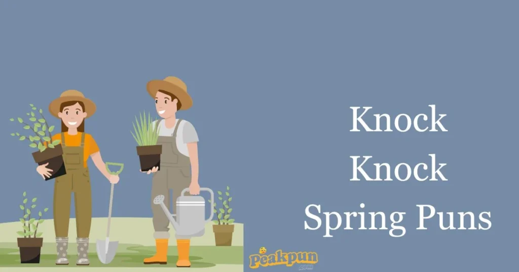 Knock Knock Spring Puns