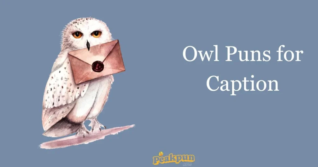 Owl Puns For Caption