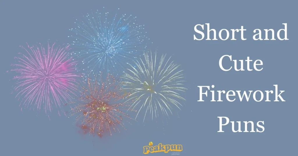 Short And Cute Firework Puns