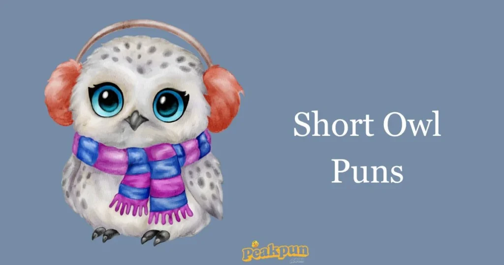 Short Owl Puns