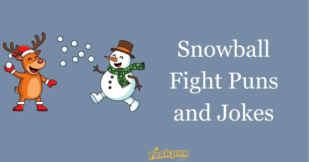 Snowball Fight Puns And Jokes
