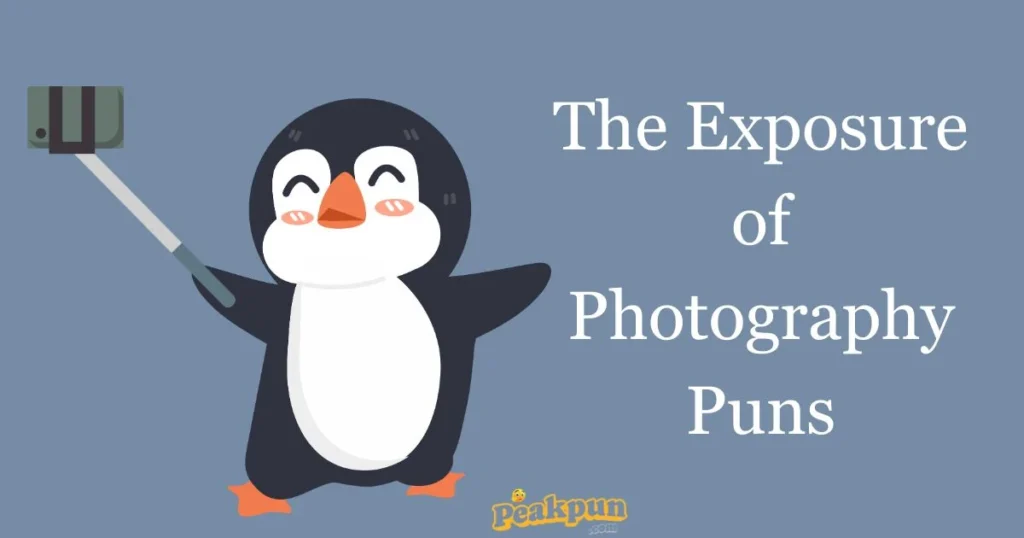 The Exposure Of Photography Puns