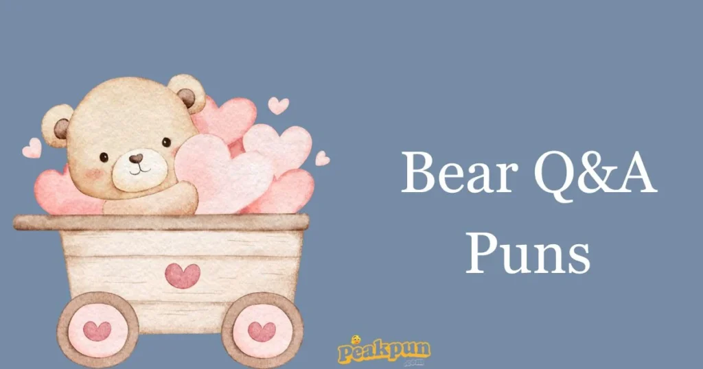 Bear Qanda Puns