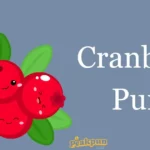 Cranberry Puns