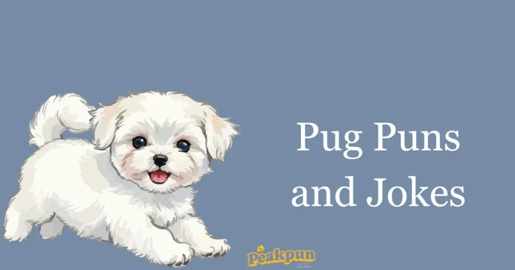 Pug Puns And Jokes 2