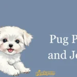 Pug Puns And Jokes 2