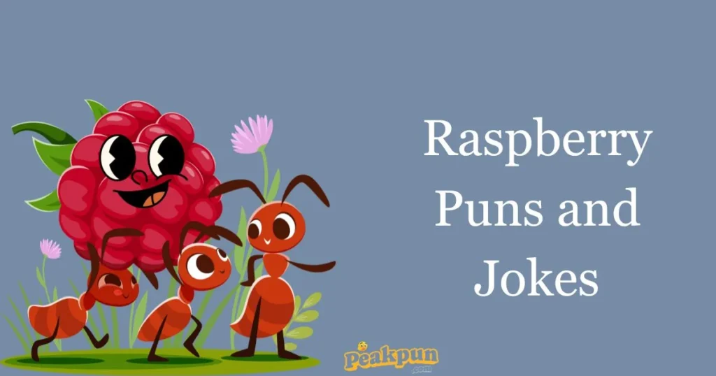 Raspberry Puns And Jokes