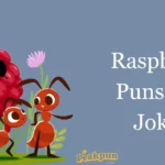 Raspberry Puns And Jokes