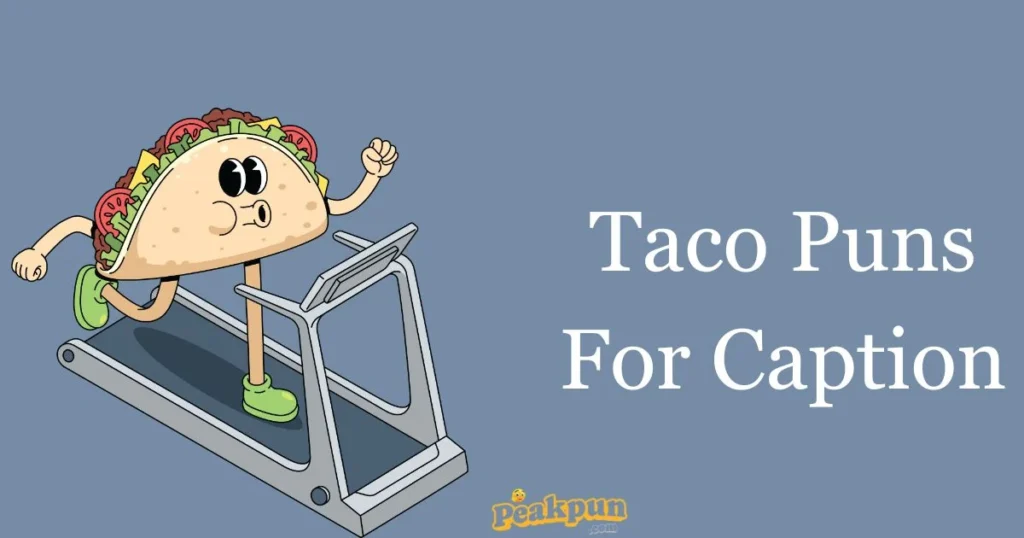 Taco Puns For Caption