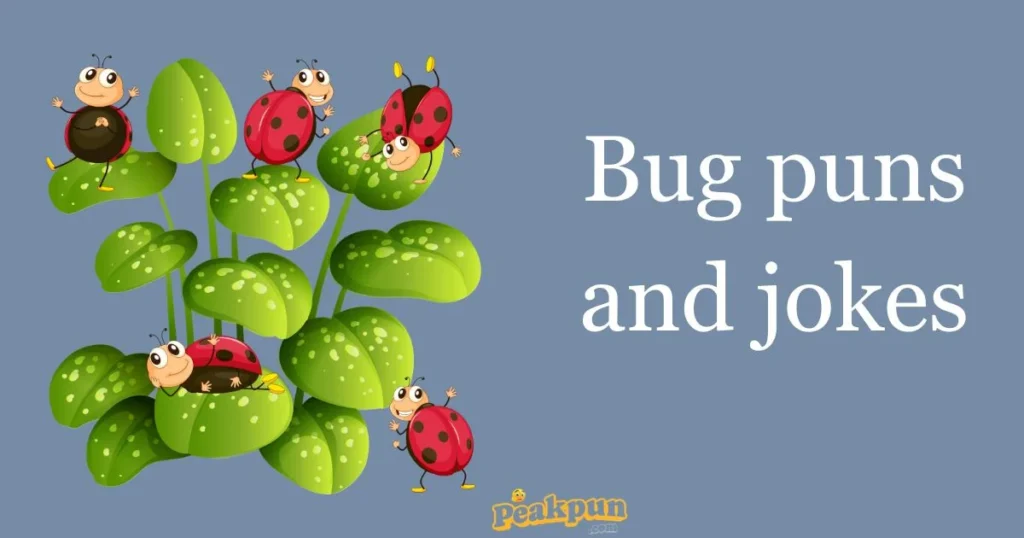 Bug Puns And Jokes
