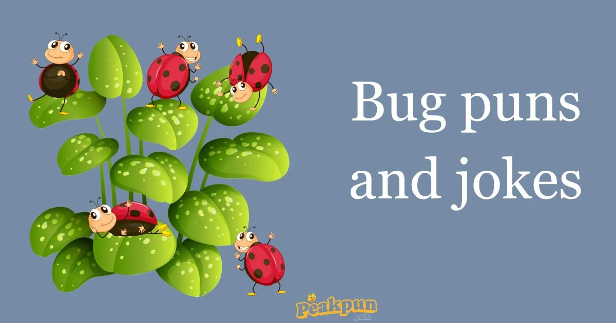 Bug Puns And Jokes