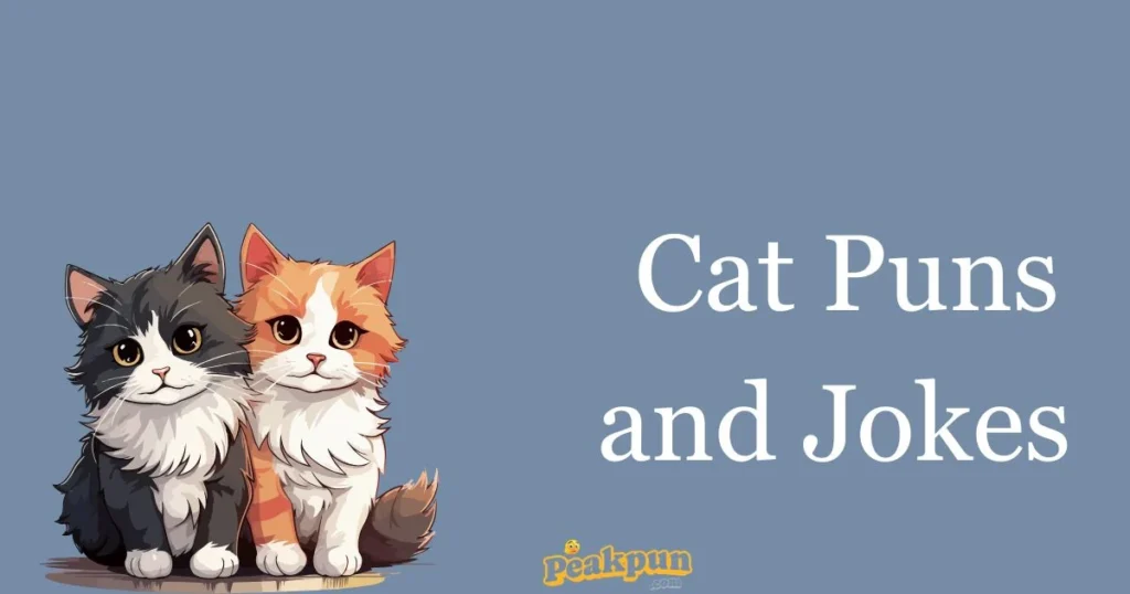 Cat Puns And Jokes