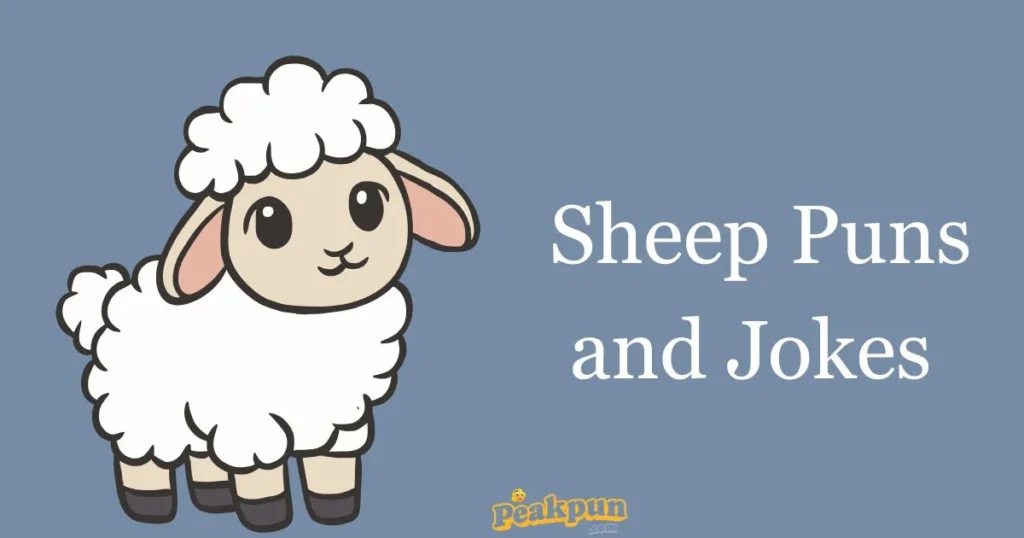 Sheep Puns And Jokes