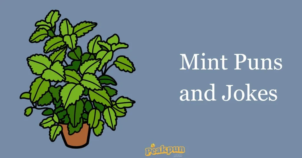 Mint Puns And Jokes