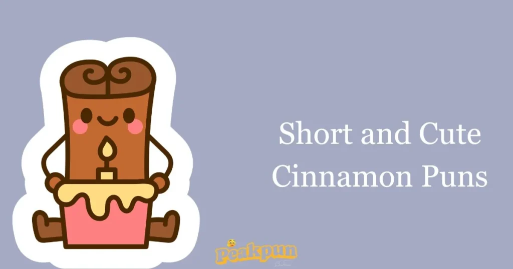 Short And Cute Cinnamon Puns