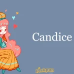 Candice Jokes