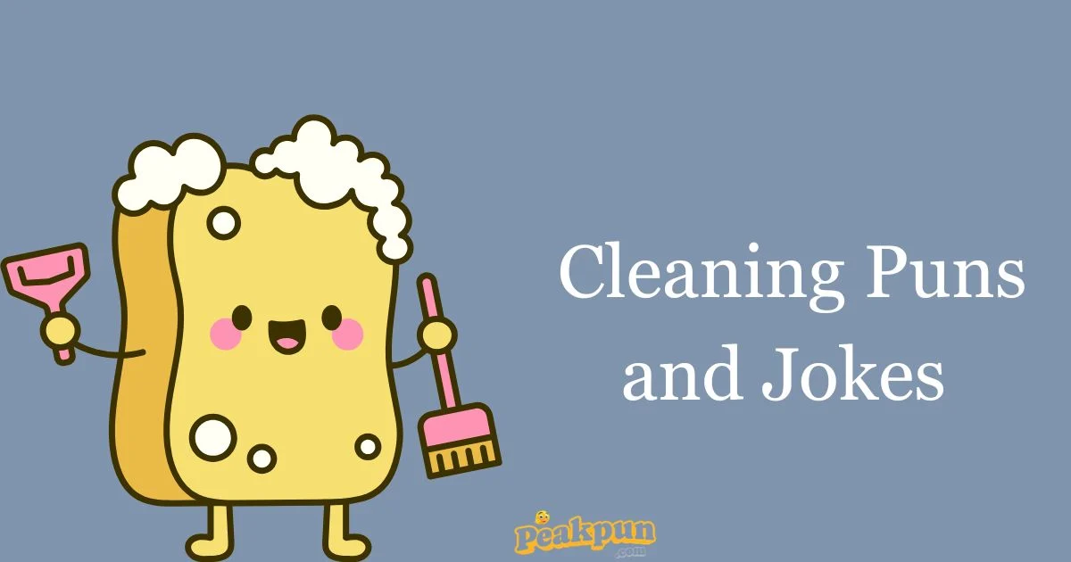 Cleaning Puns And Jokes