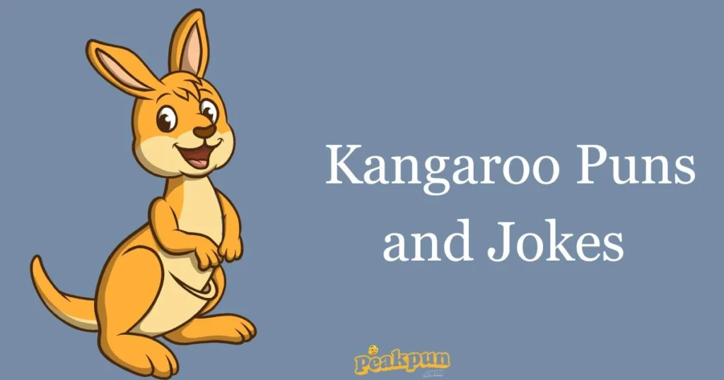 Kangaroo Puns And Jokes