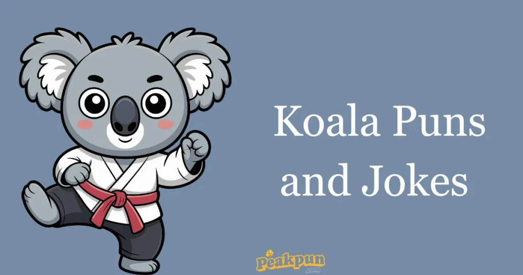 Koala Puns And Jokes