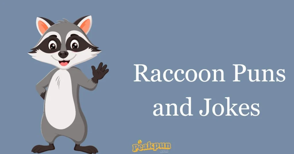 Raccoon Puns And Jokes