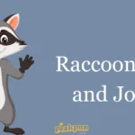 Raccoon Puns And Jokes