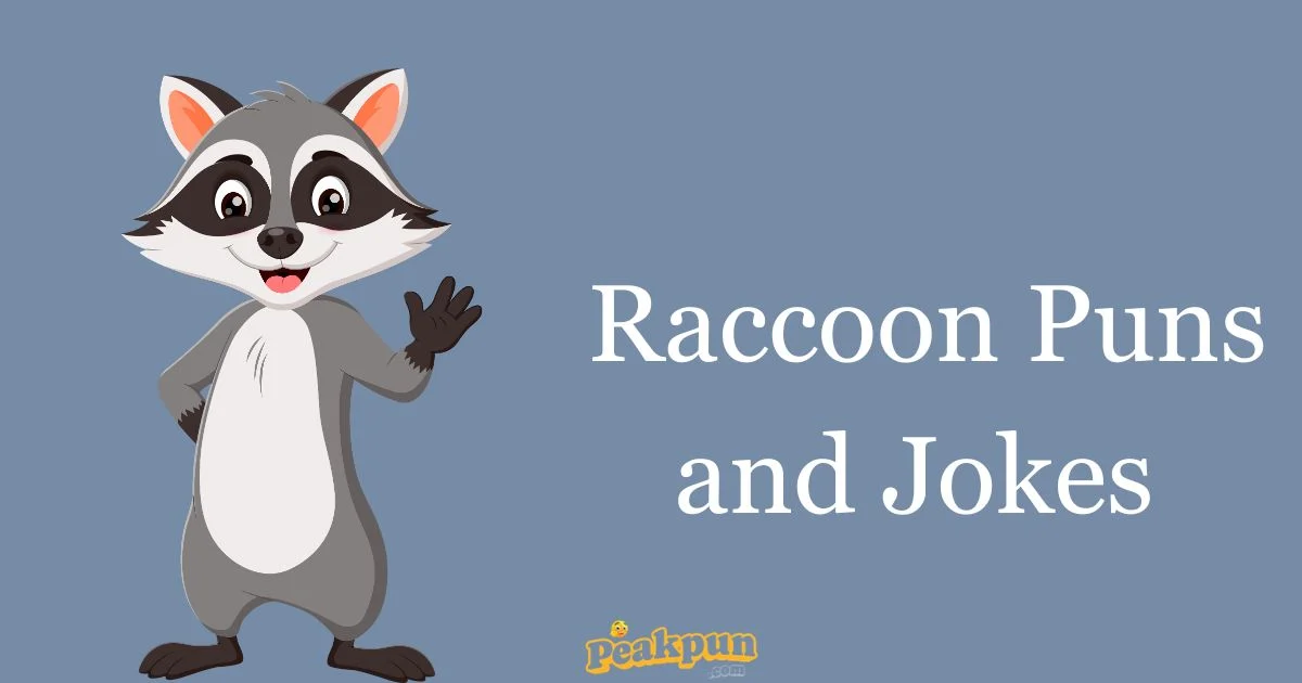 Raccoon Puns And Jokes