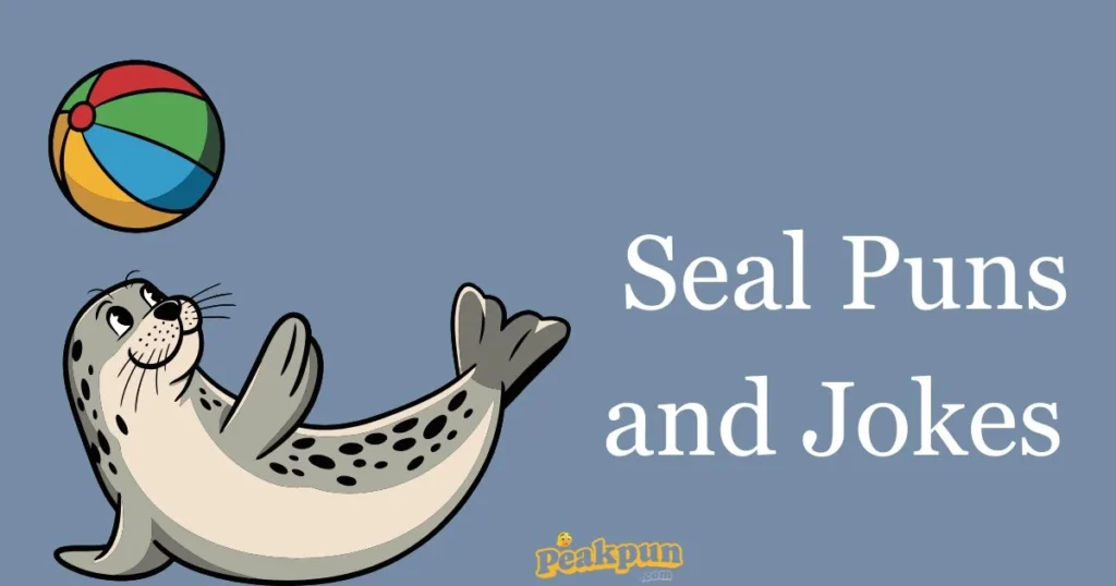 Seal Puns And Jokes
