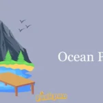 Ocean Puns